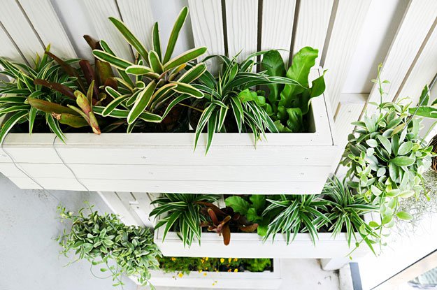 Vertical Garden | Self-Sustaining Ideas For Living The Homesteader's Dream