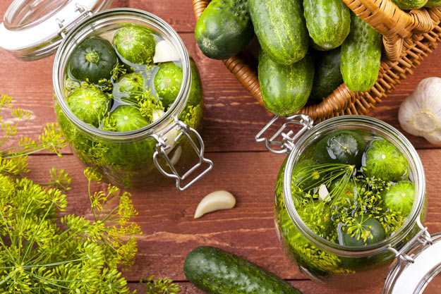 Refrigerator Pickles | Self-Sustaining Ideas For Living The Homesteader's Dream