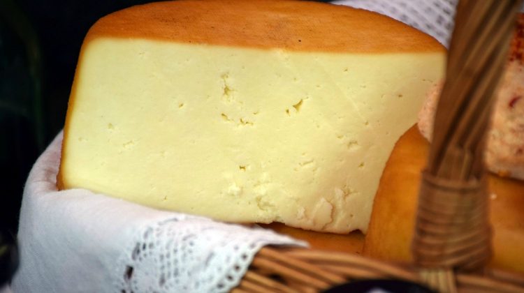 Featured | Cheese cow | Mouthwatering Homemade Cheese Recipes To Try This Weekend