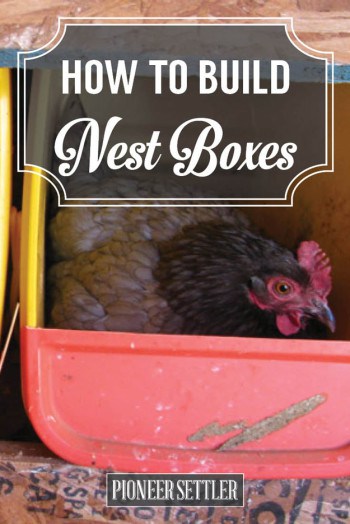 How to Build Nest Boxes