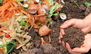 Kitchen Compost Bin | Gardening Ideas On a Budget