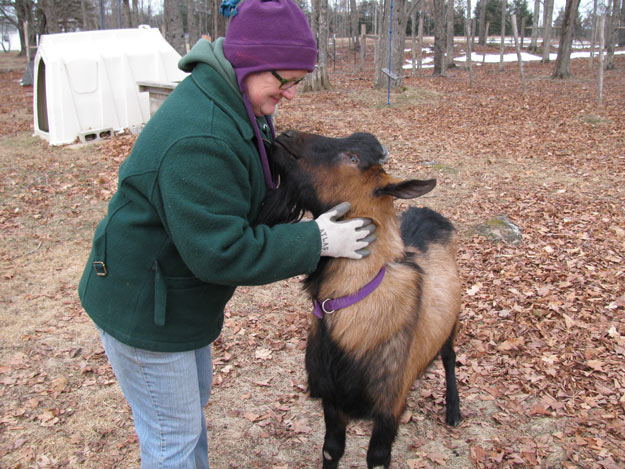 Tending The Goats | 12 Ways To Find Joy This Winter Season