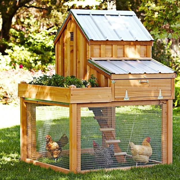 Build Your Own Chicken Coop | Off The Grid Hacks | Homesteading Tips