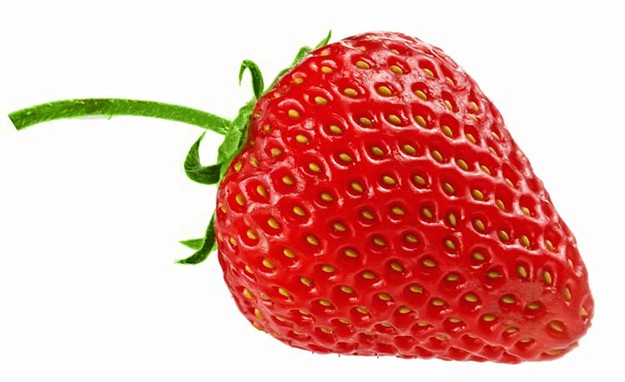 Strawberry Seeds | Survival Seeds Storing Techniques For Homesteading