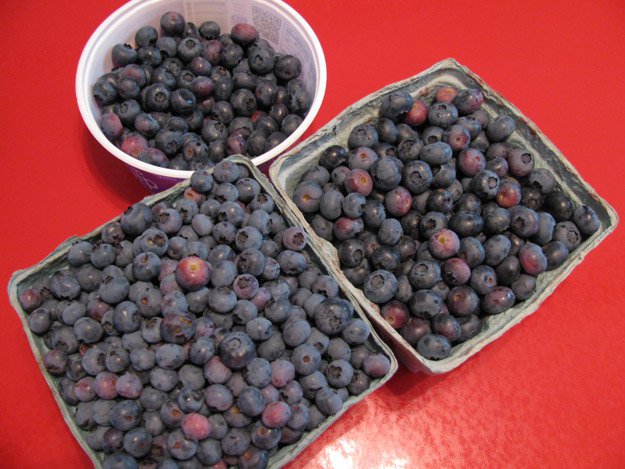 Fresh Picked Blueberries