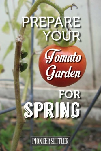 All About Tomatoes: Your Spring Growing Guide | Homesteading Tips