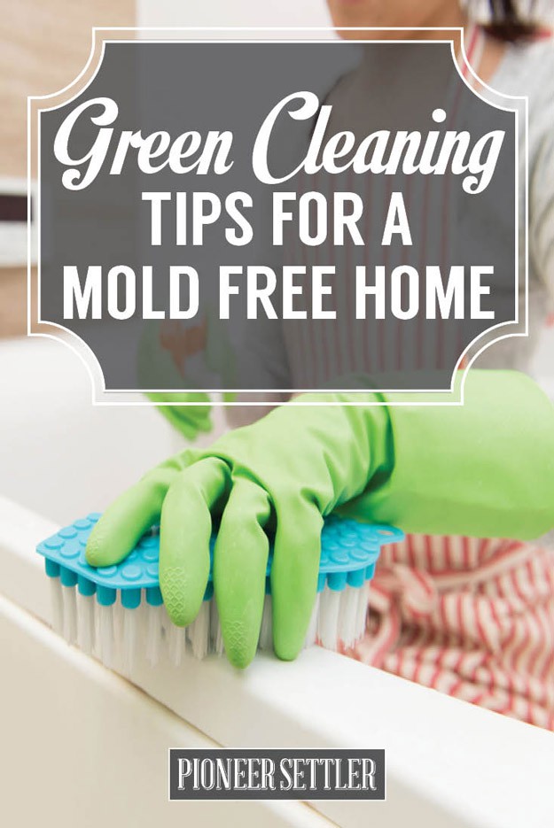 Green Cleaning Tips To Prevent Mold In House