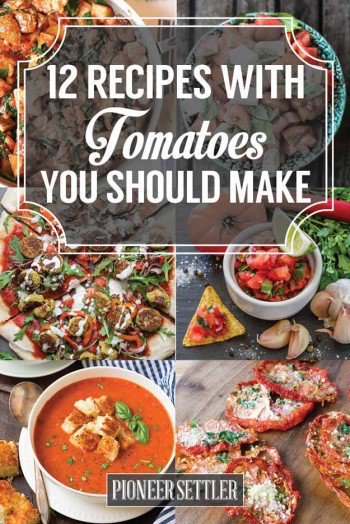 Recipes With Tomatoes You Should Make