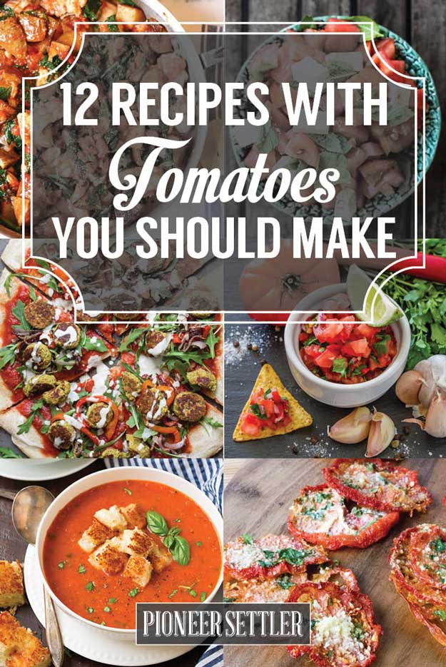 12 Fresh Tomato Recipes To Enjoy The Most From Your Harvest