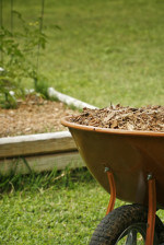 The Benefits of Gardening with Mulch