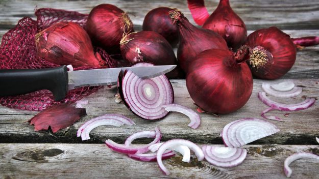 Onion | Grow Vegetables From Scraps Instead Of Seeds