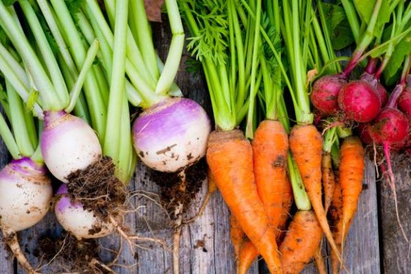 Mound Gardening Basics For Growing Root Vegetables