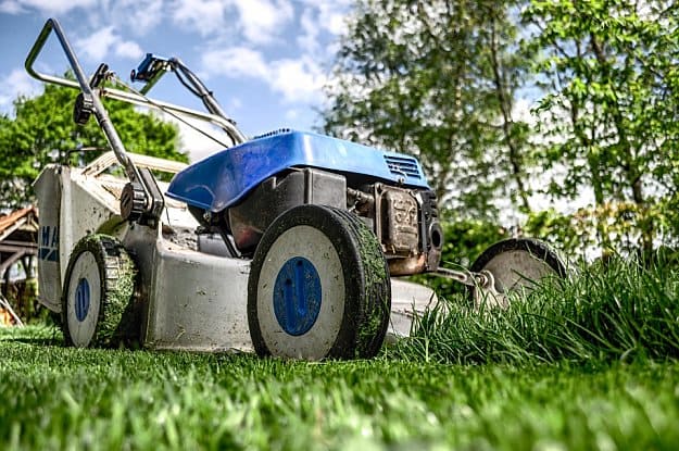 Lawnmower | Handy Homesteading Tools To Make You An Ultimate Homesteader