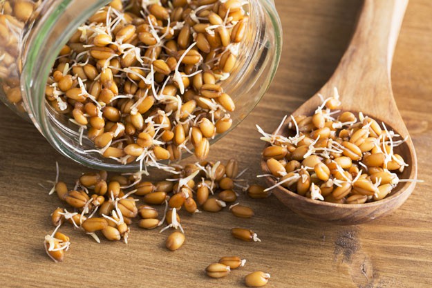 Wheat Sprouts | No Fuss Ways To Prepare Wheat Berries