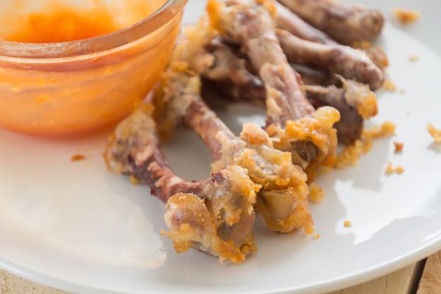 Chicken Bones can be harmful to dogs | 10 toxic foods to never feed your dog
