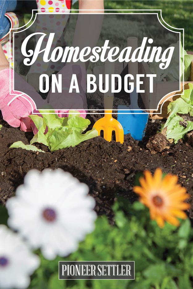 Homesteading On A Budget