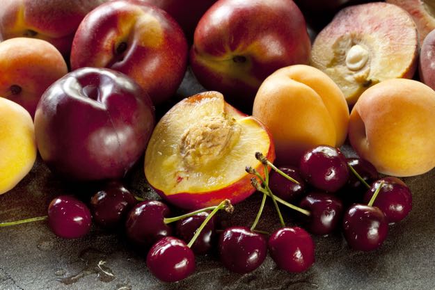 Peaches and Plums are harmful to dogs | 10 toxic foods to never feed your dog