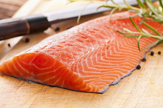 Raw Salmon is harmful to dogs | 10 toxic foods to never feed your dog
