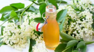 Elderflower Liqueur Recipes And Cocktails For Spring And Summer