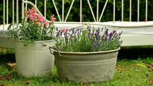 Featured | Floral garden decoration | Container Gardening Tips For Homesteaders