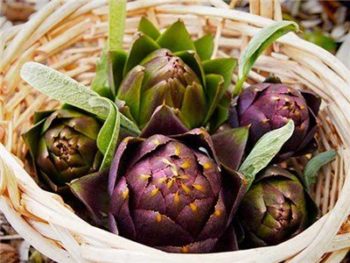 Artichokes | How To Blend Edible Landscaping With Ornamentals [Infographic]