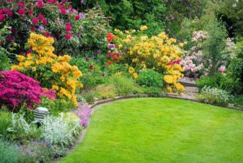 Determining Your Gardening Zone | Homesteading Guide