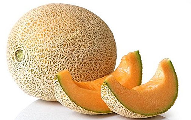 Cantaloupes | Dry Farming on Your Homestead | Types of Farming