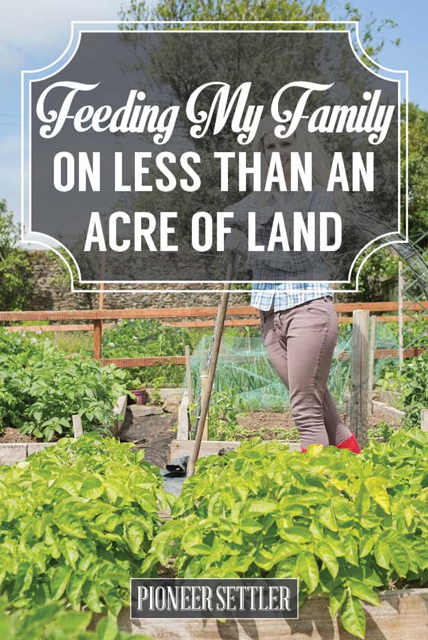 Feeding My Family On Less Than an Acre of Land | Try Many Types Of Farming For You And Your Homestead