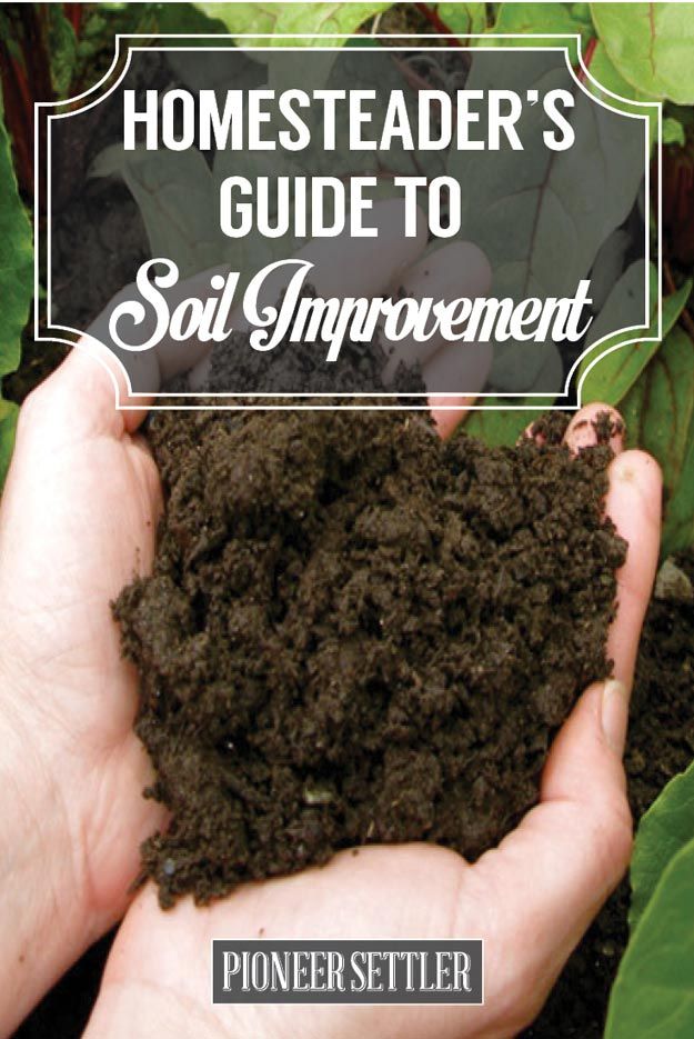 Homesteader’s Guide to Soil Improvement | Try Many Types Of Farming For You And Your Homestead
