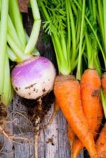 Mound Gardening Basics For Growing Root Vegetables