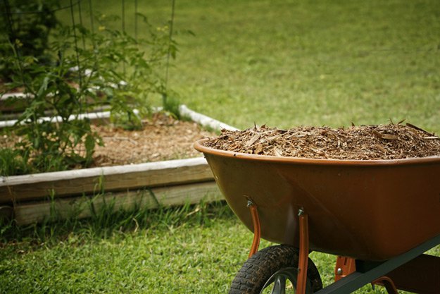 Cover Your Soil With Mulch | Gardening Tips To Earn Your Most Fruitful Yield Yet 