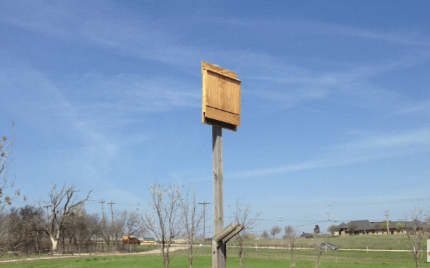 How to Build A Bat House Bat House Plans For Your Homestead