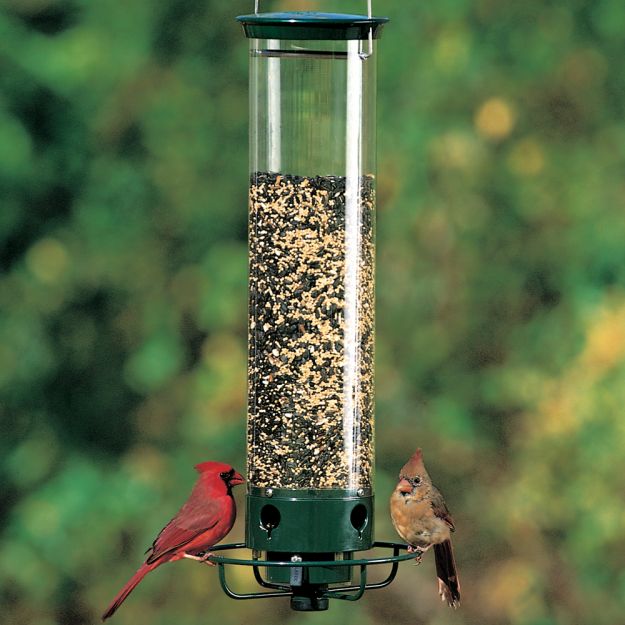 Yankee Flipper Squirrel Proof Bird Feeders | Be A Better Host To Your Beautiful Visitors