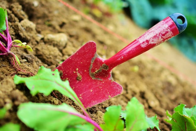 Workout Your Soil | Top 10 Fall Gardening Tips | How To Prepare Your Garden For Spring