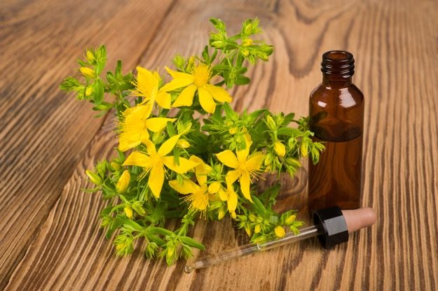 St. John's Wort with small vile and dropper | The Impressive Holistic Benefits of St. John's Wort