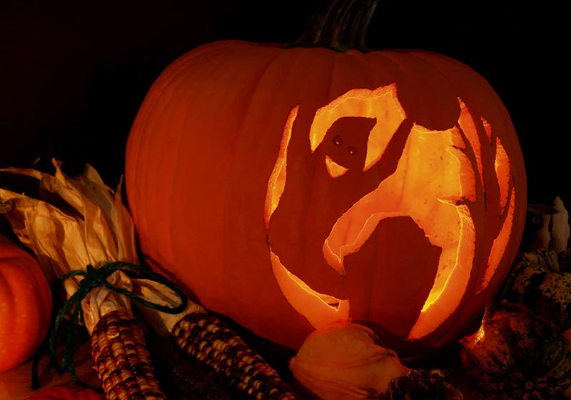 Halloween decor including carved pumpkin with graveyard scene | jack-o-lantern carving ideas