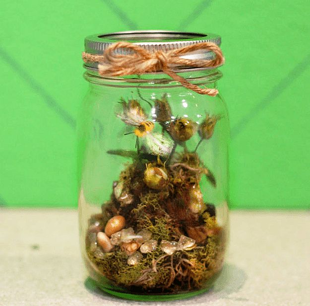 Mason Jar Terrarium | Terrarium Plants That You'll Love For Your Homestead