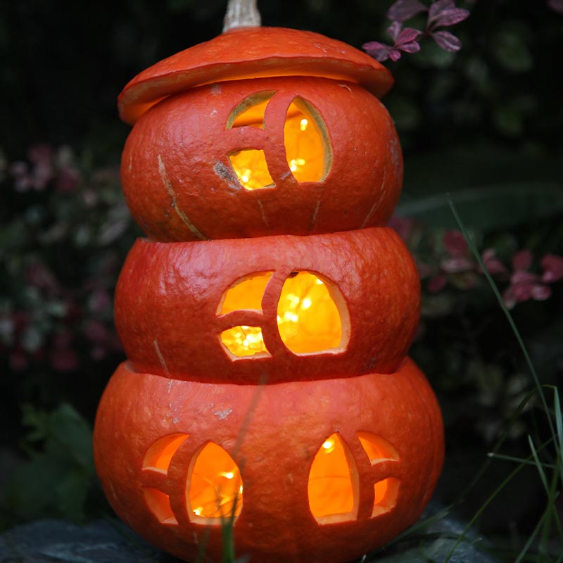 Orange pumpkins house for Halloween holiday party | jack-o-lantern