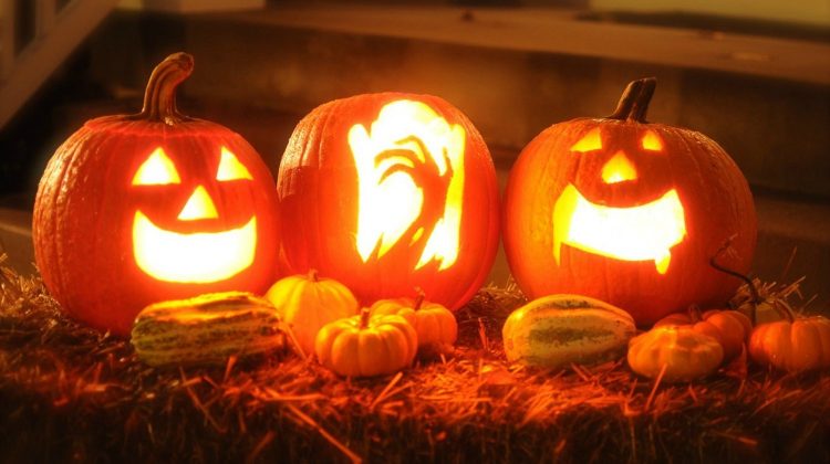 pumpkin-halloween-autumn-october-jack-o-lantern | Amazing Jack-O-Lantern Carving Ideas for YOU and the KIDS | featured