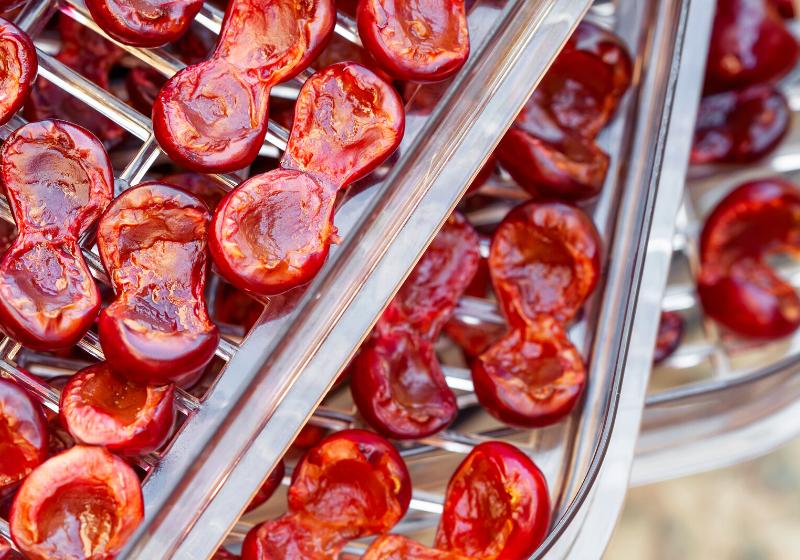 cherry food dryer halves on dehydrator | best fruits to dehydrate