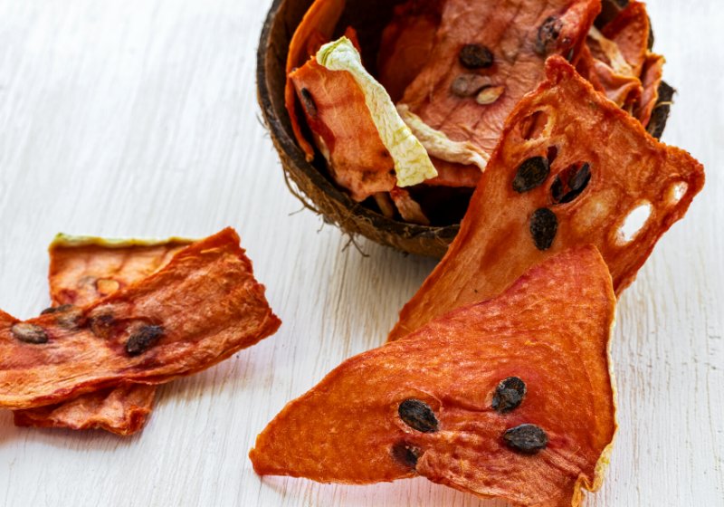dried watermelon chips lie coconut shell | dehydrated fruit recipes