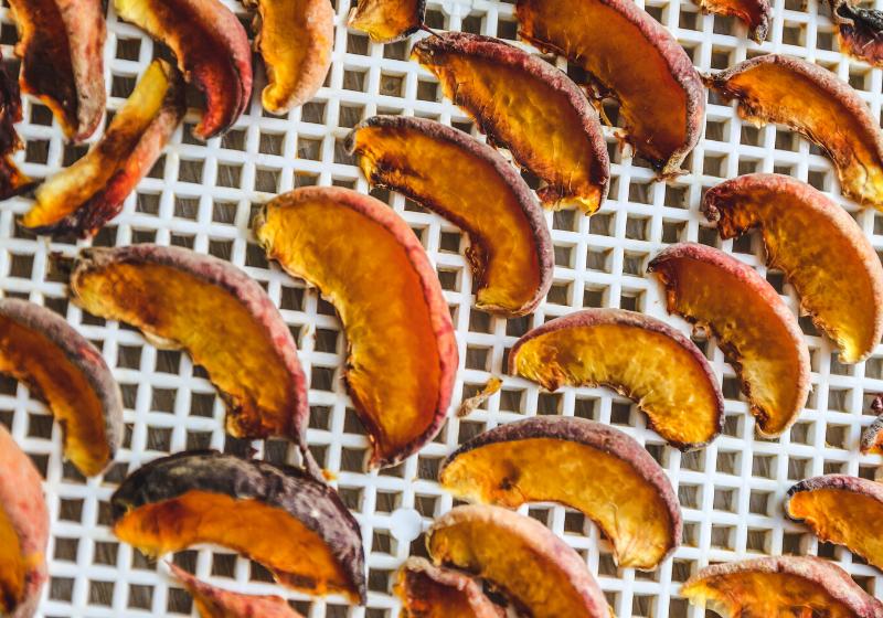 peaches dried dehydrator dryer way preserve | how to store dehydrated fruit
