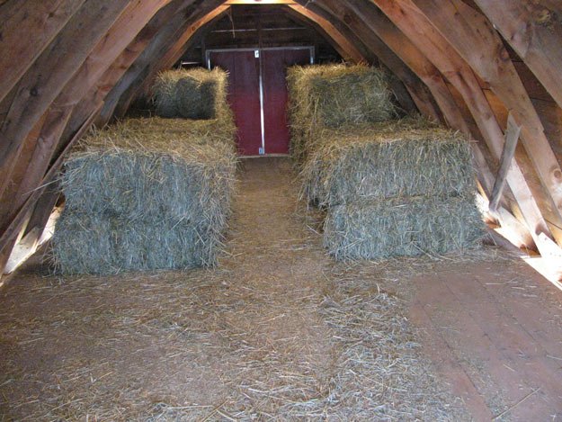 Food: Stock Of Hay | Livestock and Barn Winter Tips | Homesteading Guide