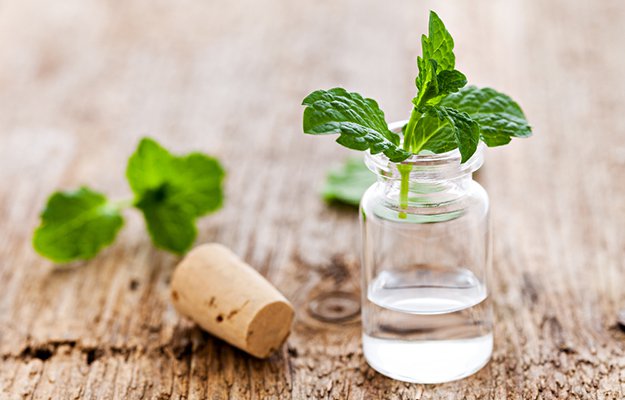 Peppermint Essential Oil | Mother Nature’s Best Home Remedies