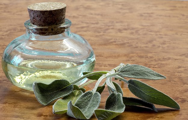 Sage Essential Oil | Mother Nature’s Best Home Remedies