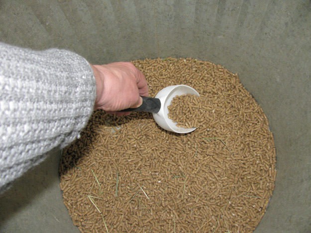Grain | Livestock and Barn Winter Tips | Homesteading Guide
