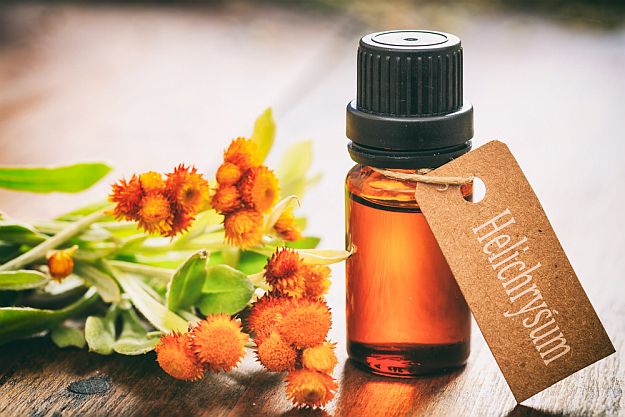 Helichrysum | Essential Oils For First Aid That Any Prepper Should Have