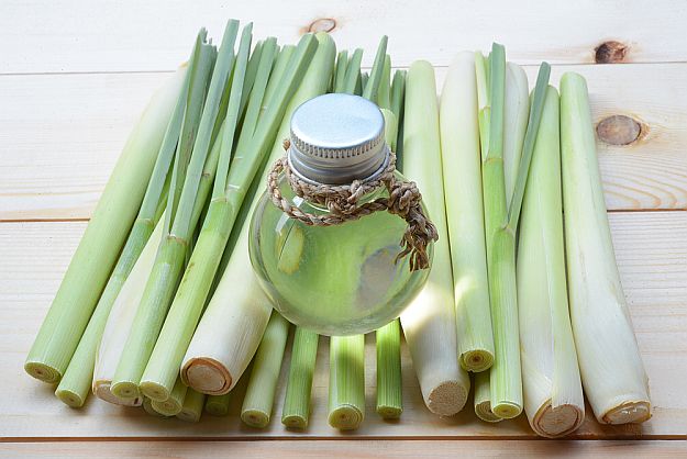 Lemongrass | Essential Oils For First Aid That Any Prepper Should Have