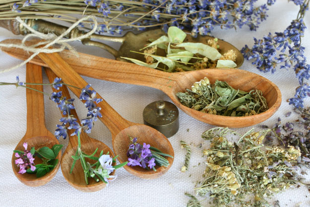 Medicinal Herbs To Grow At Home | Gardening Tips And Tricks To Become A Successful Homesteader