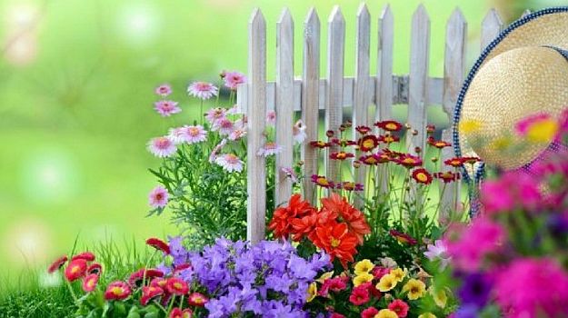 Flower Gardening | Gardening Tips And Tricks To Become A Successful Homesteader